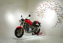 Ducati Monster