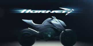 hornet