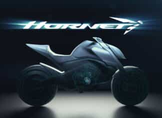 hornet