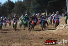 mx ribatejo