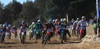 mx ribatejo