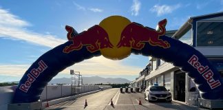 red bull rookies cup