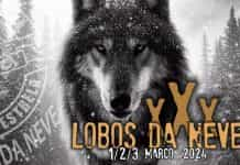 lobos da neve