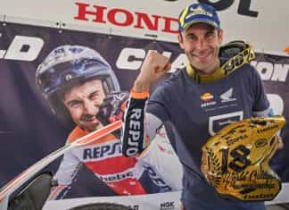 toni bou