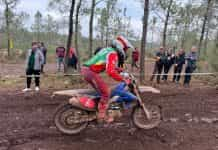 isde