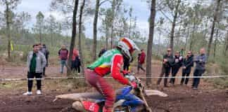 isde